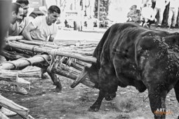 Capeia Arraiana Alfaiates