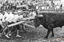 Capeia Arraiana Alfaiates