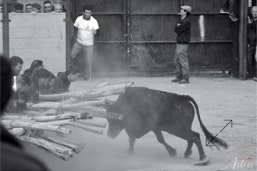 Capeia Arraiana Alfaiates