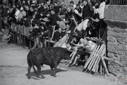 Capeia Arraiana Alfaiates