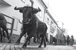 Capeia Arraiana Alfaiates