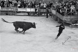 Capeia Arraiana Alfaiates