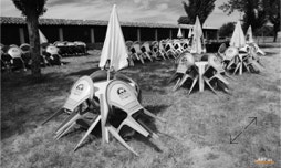 Sacaparte Processions